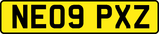 NE09PXZ