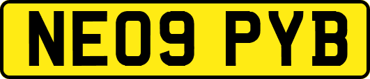 NE09PYB