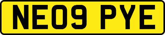 NE09PYE