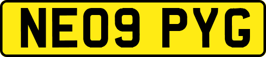 NE09PYG
