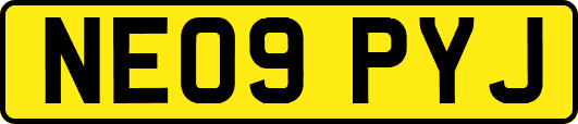 NE09PYJ