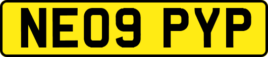 NE09PYP