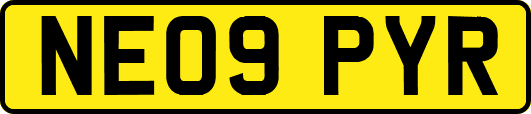 NE09PYR