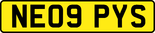 NE09PYS