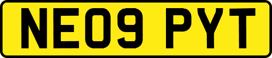 NE09PYT