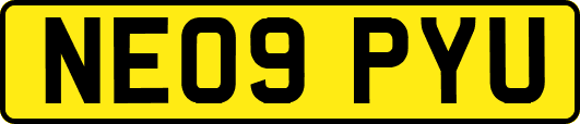 NE09PYU