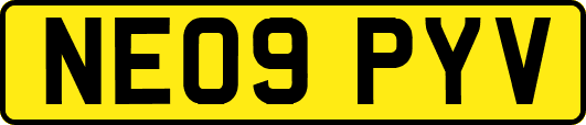 NE09PYV