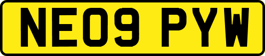 NE09PYW