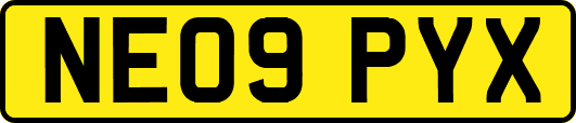 NE09PYX