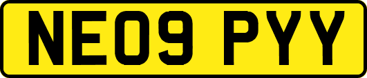 NE09PYY