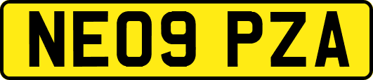 NE09PZA
