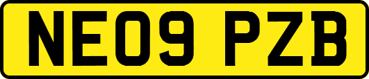 NE09PZB
