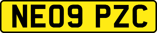NE09PZC