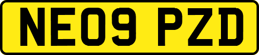 NE09PZD