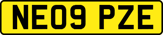 NE09PZE