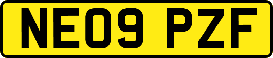 NE09PZF