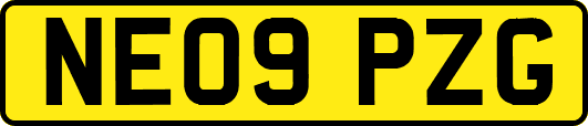 NE09PZG