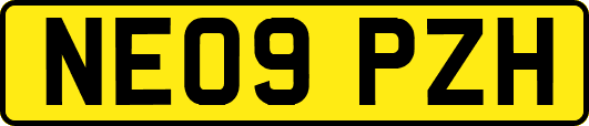 NE09PZH
