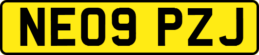 NE09PZJ