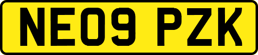 NE09PZK
