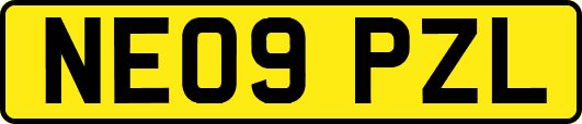NE09PZL