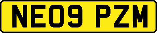NE09PZM