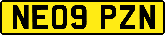 NE09PZN