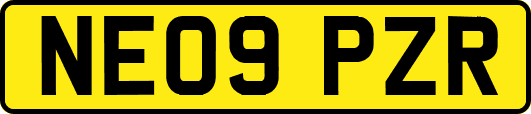 NE09PZR
