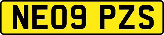 NE09PZS