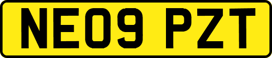 NE09PZT