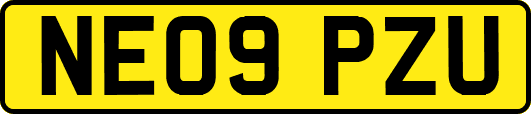 NE09PZU