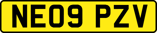 NE09PZV