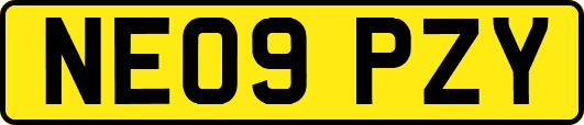 NE09PZY