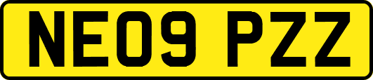 NE09PZZ