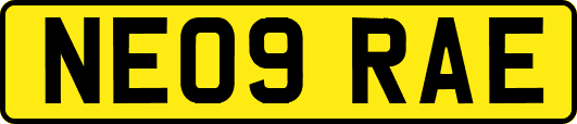 NE09RAE