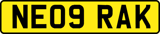 NE09RAK