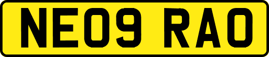 NE09RAO