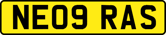 NE09RAS
