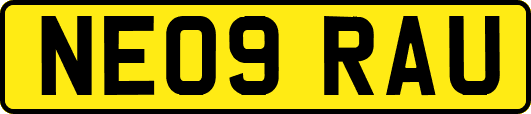 NE09RAU