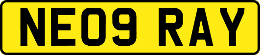 NE09RAY