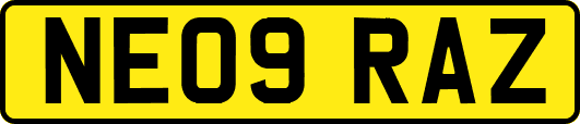 NE09RAZ