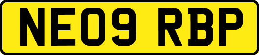 NE09RBP