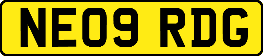 NE09RDG