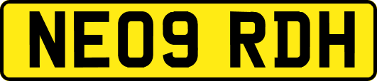 NE09RDH