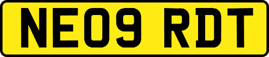NE09RDT