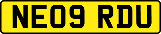 NE09RDU