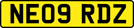 NE09RDZ
