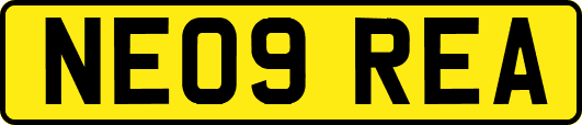 NE09REA
