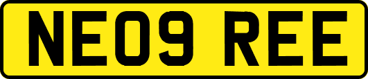 NE09REE