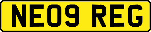 NE09REG